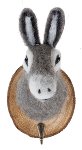 gancio asino 12 cm; 6 pz.