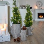 Übertopf Baum 24ø10 cm VE 4