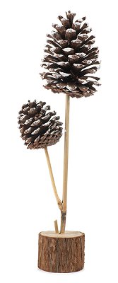Pommes de pin décoration