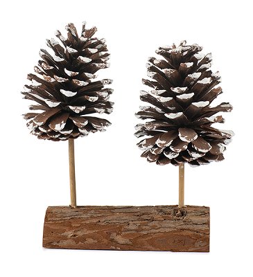Pommes de pin décoration