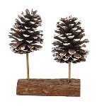 Pine decoration
