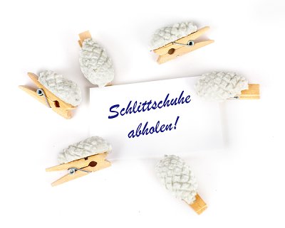 Clip pinecone SET/6