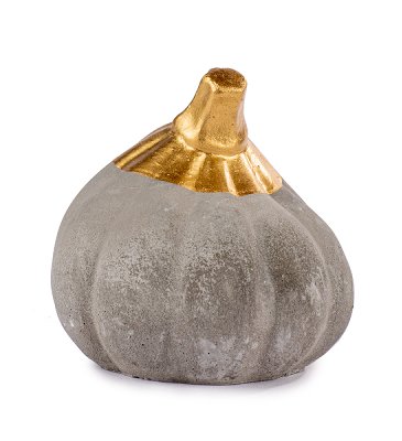 Zucca