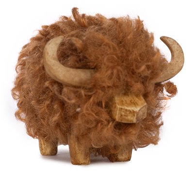 Bison