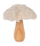 Champignon
