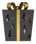 Laterna Regalo LED