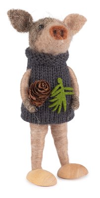 Cochon avec pull-over