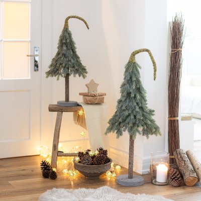 Sapin