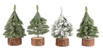 Sapin 4 ass