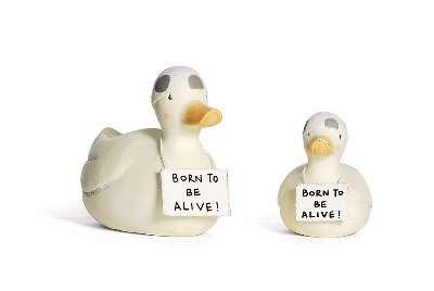 Canard avec bonnet de bain "Born to be alive"