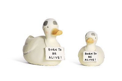 Duck with bathing cap "Born to be alive"