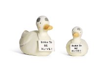 Duck with bathing cap 2 pcs 20x16 cm