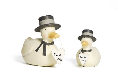 Canard avec cylindre "I'm in love"