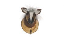 coat hook horse16 cm 6 pcs.