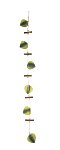Garland leaves