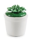 box with cactus 7/ø4 cm 6 pcs.