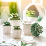 box with cactus 7/ø4 cm 6 pcs.