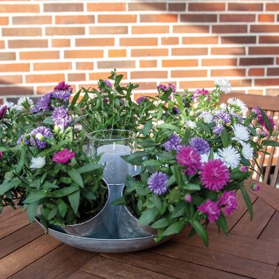 Plant pots