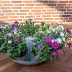 Schale für 7 Pflanzen + Teelicht ø7+35 cm VE 2
