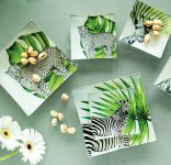 plate leopard 10 x 10 cm 12 pcs.