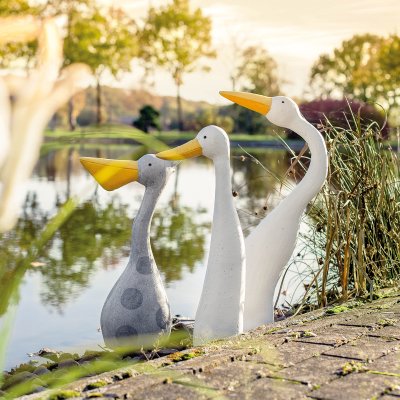 Gans weiß