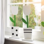 Tulpe im Topf weiß mit Punkten
