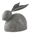 Hase
