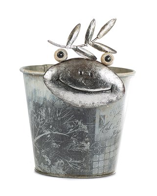 Flower pot frog
