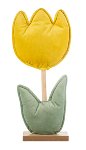 Tulipano