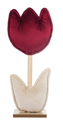 Tulipano rosso