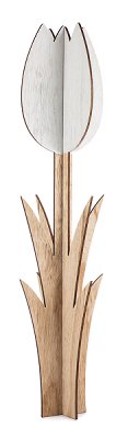 Tulpe weiß