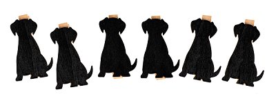 Molletta cane set da 6 pezzi