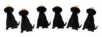 Molletta cane set da 6 pezzi