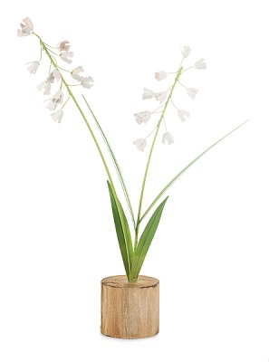 Fiore bianco