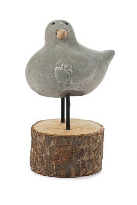 Seagull on wood