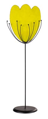 Tulpe gelb