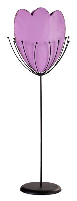 Tulpe lila
