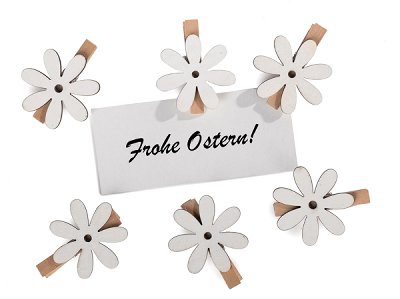 Pinza fiore set da 6 pezzi