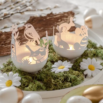 Photophore lapin