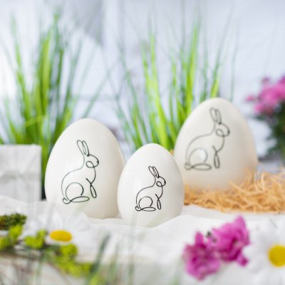 Egg with rabbit