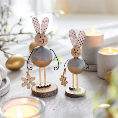 Hase