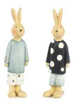 Lapin ass per 2 11 cm 24 pcs