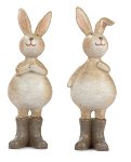 Lapin ass per 2 11 cm 12 pcs