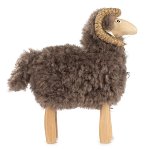 Sheep brown