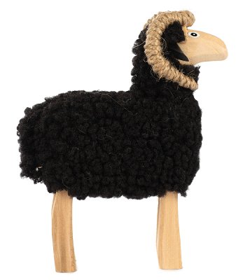 Sheep black