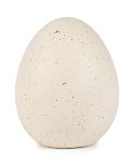 Oeuf blanc