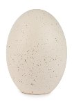 Uovo bianco