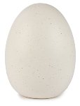 Egg white