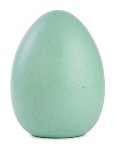 Egg light blue
