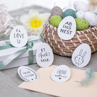 Clip Egg set of 6